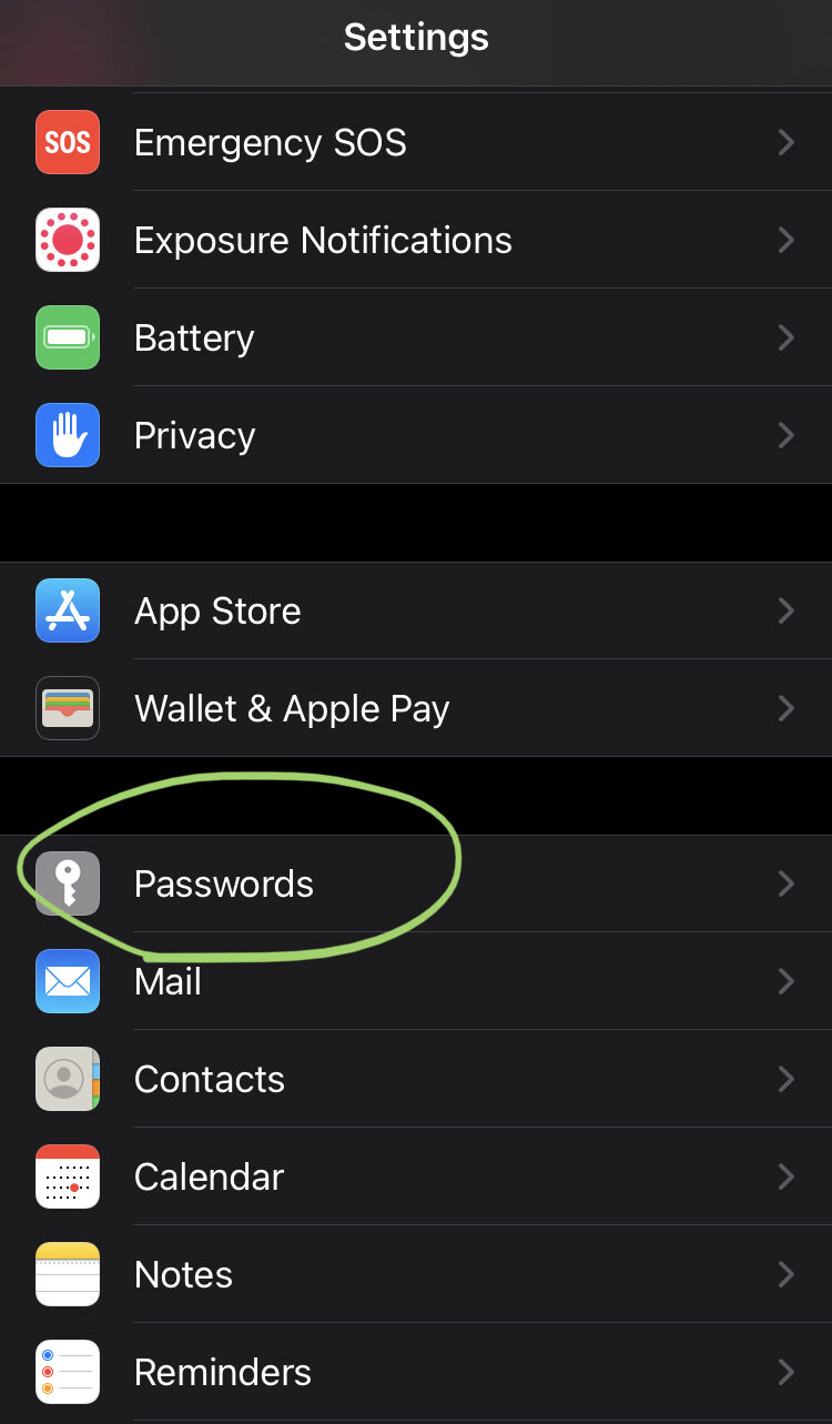 iOS Settings menu with 'Passwords' highlighted